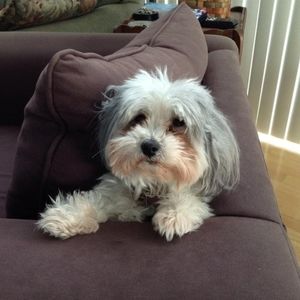 Meet your Posher, Juli